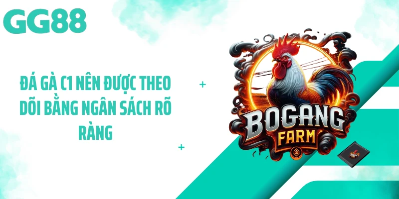 Đá gà C1 nên được theo dõi bằng ngân sách rõ ràng