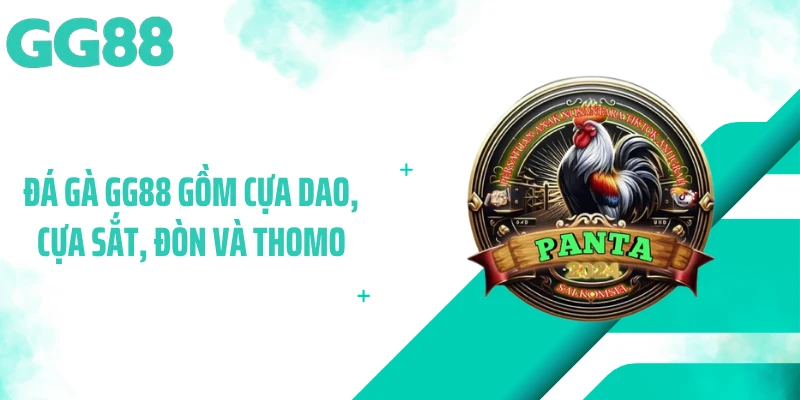 Đá gà GG88 gồm cựa dao, cựa sắt, đòn và Thomo