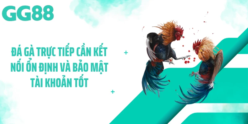Đá gà trực tiếp cần kết nối ổn định và bảo mật tài khoản tốt